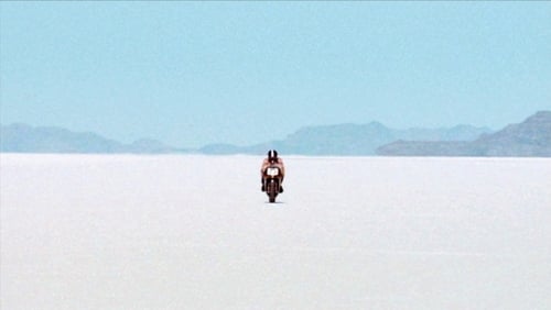 The Brown Bunny (2003)