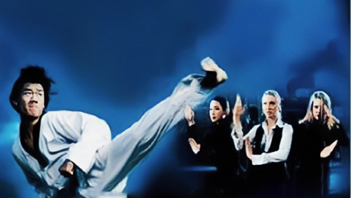 The Art of Action: Martial Arts in Motion Picture (2002)