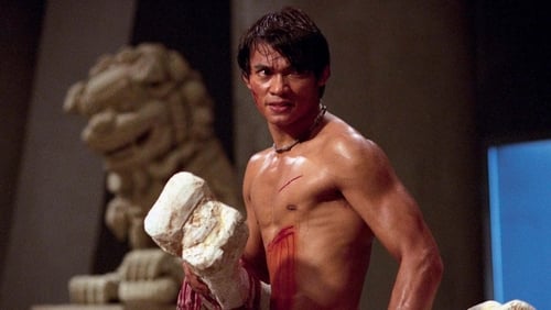 Revenge of the Warrior (2005)