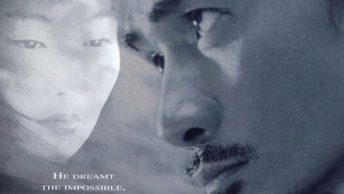 Ying xiong: Cause – The Birth of Hero (2002)