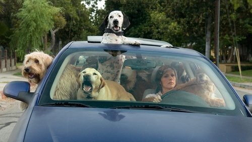 Year of the Dog (2007)