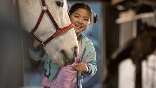 Waar is het paard van Sinterklaas? (2007)