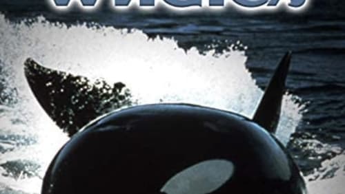 Killer Whales: Up Close and Personal (TV Movie 2000)