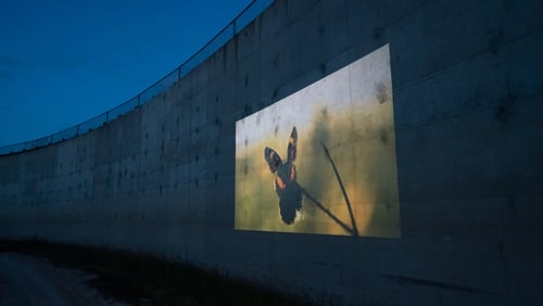 Ay Mariposa (2019)