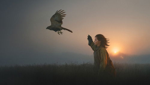 H Is for Hawk (2025)