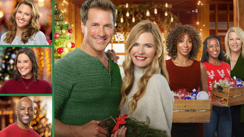 Christmas in Evergreen: Tidings of Joy (2019)