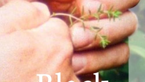 Black Pond (Short 2018)