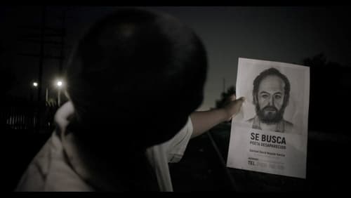 Vaquero del mediodía (2019)