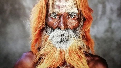 McCurry: The Pursuit of Colour (2021)