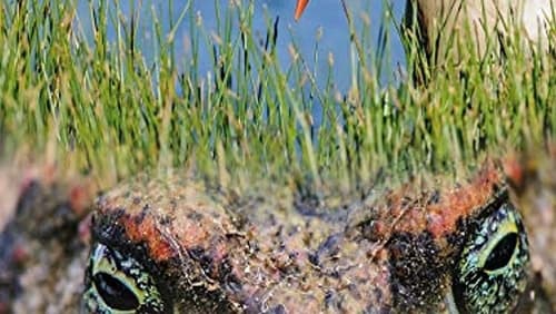 Spring: The Return of Life (2014)