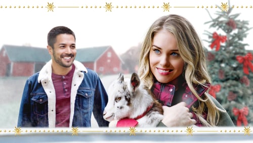 Lonestar Christmas (TV Movie 2020)