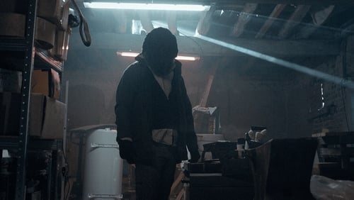 Anonymous Animals (2020)