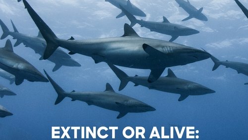 Extinct or Alive: Land of the Lost Sharks (2020)