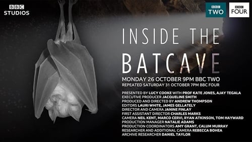 Inside the Bat Cave (TV Movie 2020)
