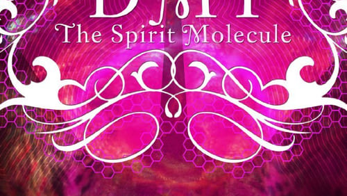 DMT: The Spirit Molecule (2010)