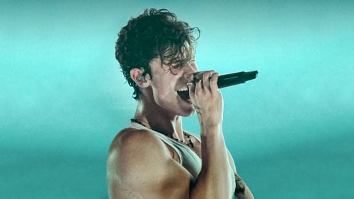 Shawn Mendes: Live in Concert (2020)