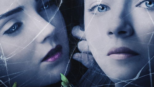 The Moth Diaries (2011)