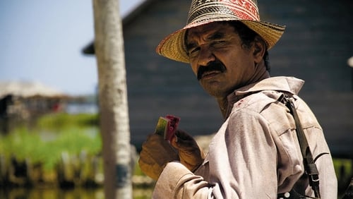 Los viajes del viento (2009)