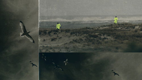 Unraveled: The Long Island Serial Killer (2021)