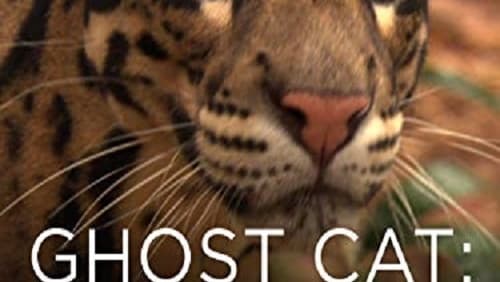 Ghost Cat: Saving the Clouded Leopard (TV Movie 2007)