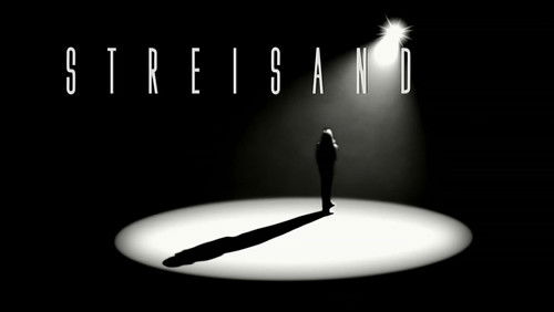 Streisand: Live in Concert (2009)