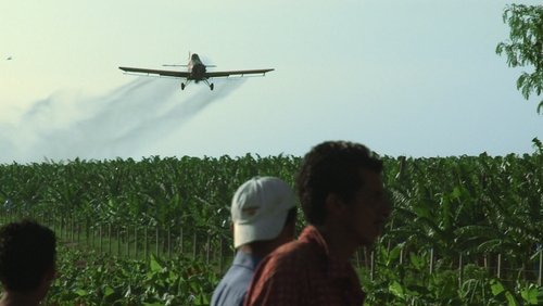 Bananas!* (2009)