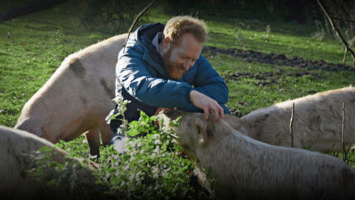 I Could Never Go Vegan (2024)