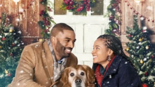 A Christmas Stray (TV Movie 2021)
