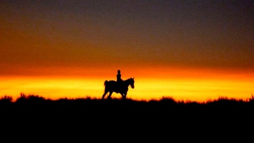 Reel Injun (2009)