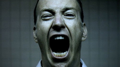 The Candidate (2010)