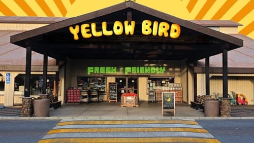 Yellow Bird (2023)
