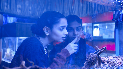 The Shameless (2024)