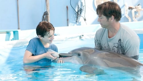 Mein Freund, der Delfin (2011)