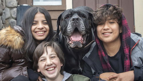 Dog Patrol: Operation Santa Paws (2025)