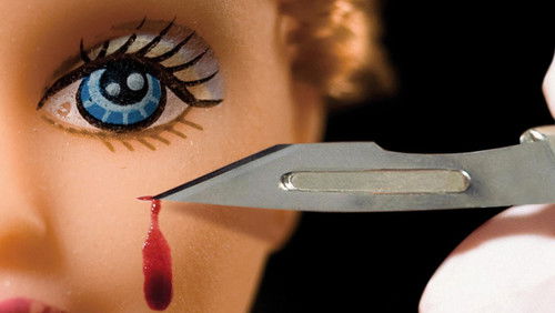 Miss Plastic – A szikék szépe (2009)