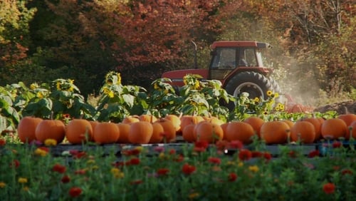 Farmageddon (2011)