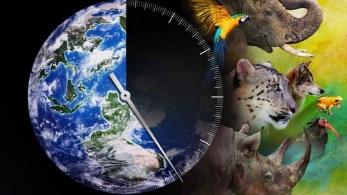 Racing Extinction (2015)