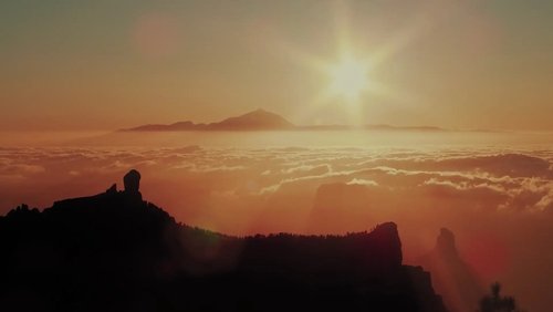 Wild Canary Islands (2021)