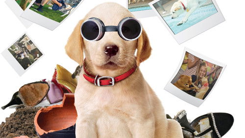 Marley & Me: The Puppy Years (2011)