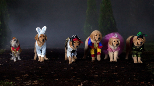 Spooky Buddies (2011)