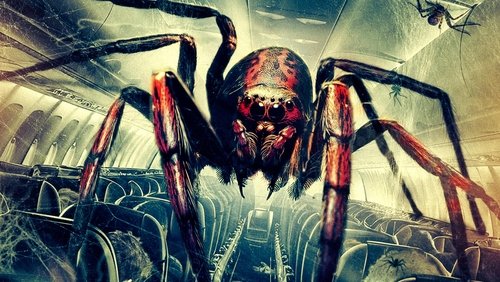 Spiders on a Plane (2024)