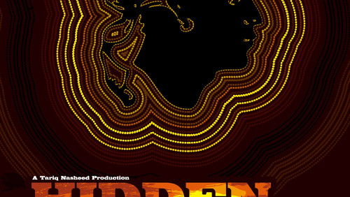 Hidden Colors (2011)