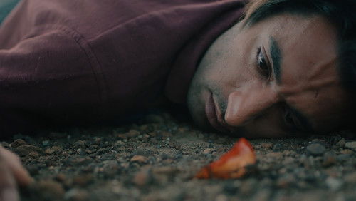 Sleep of the Crow (2023)