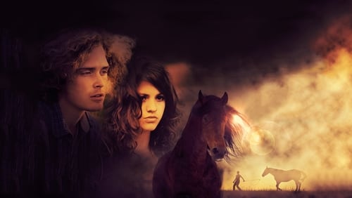 Das vergessene Pferd (2011)