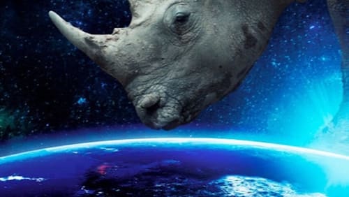 Why on Earth (2022)