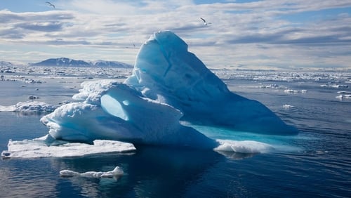 To the Arctic 3D (Short 2012)