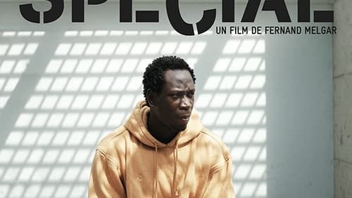 Vol spécial (2011)