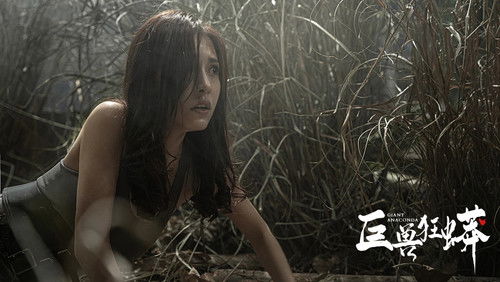 Python Island (2022)