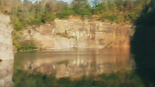 The Quarry: 2011 (2011)