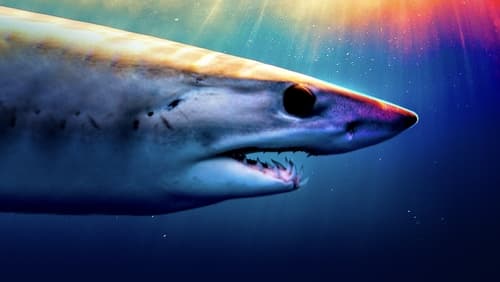 Shark Superpower (TV Special 2022)